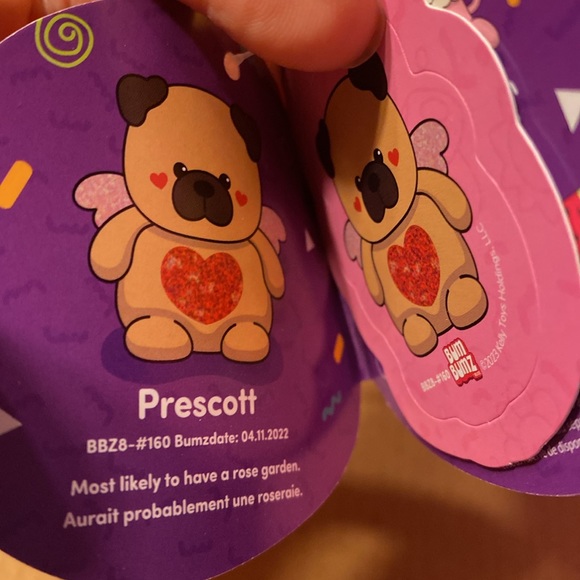 Bumbumz Prescott the pug - Picture 4 of 4